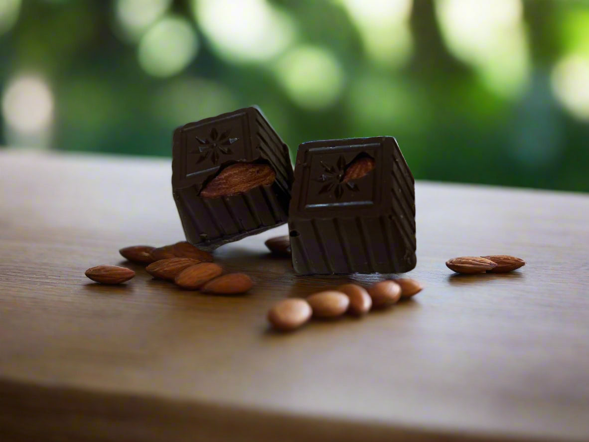 Dark Chocolate with Roasted Almonds